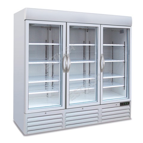 Upright display freezer 3 doors TECFRIGO