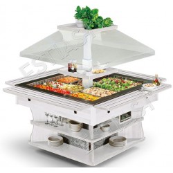 Salad bar Oasi 8 M TECFRIGO