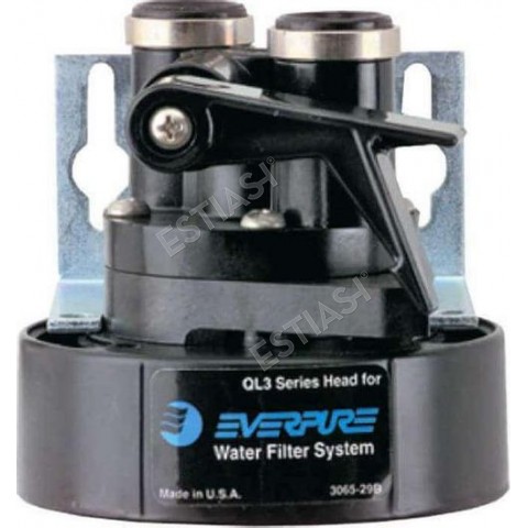Everpure Head i20002