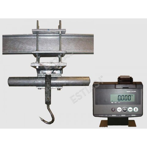 Overhead rail scale 300Kg or 600Kg with printer